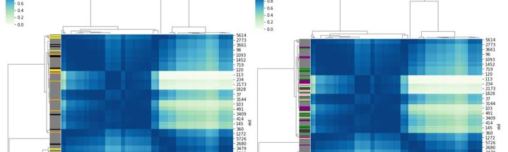 Community Detection